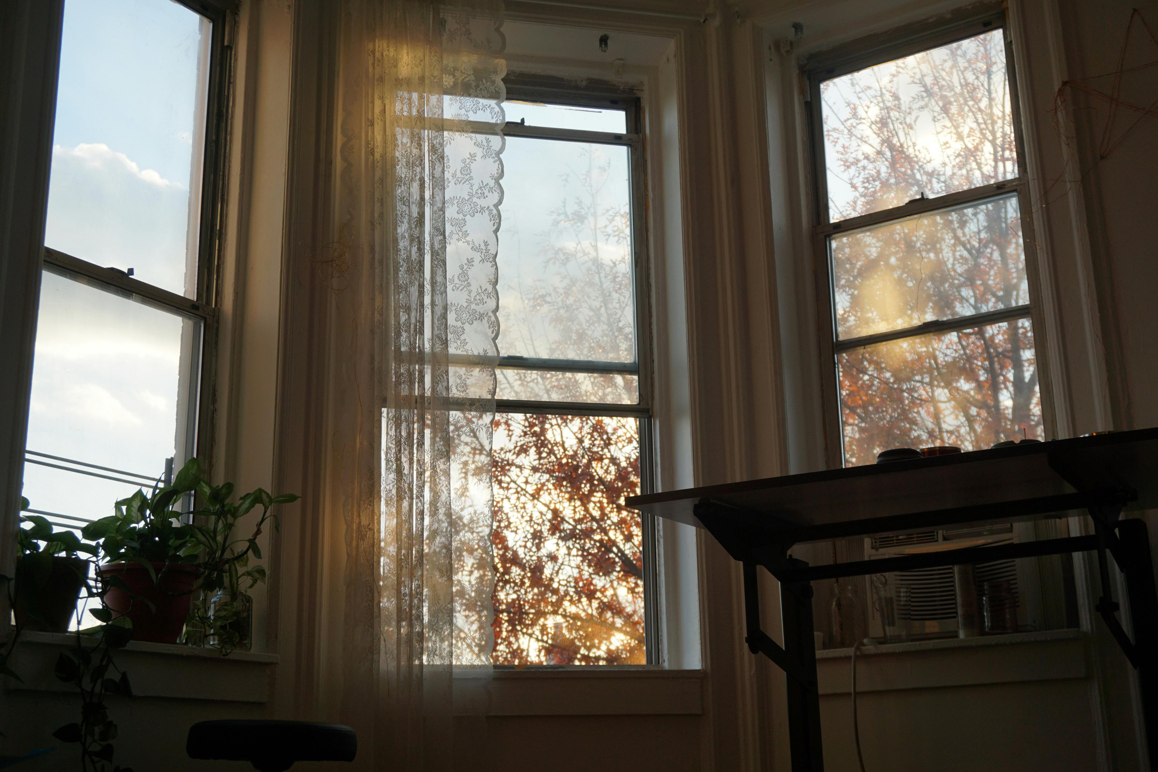 Pre-war NYC apartment with twin double-hung windows, lace curtains, and warm late-afternoon sunlight