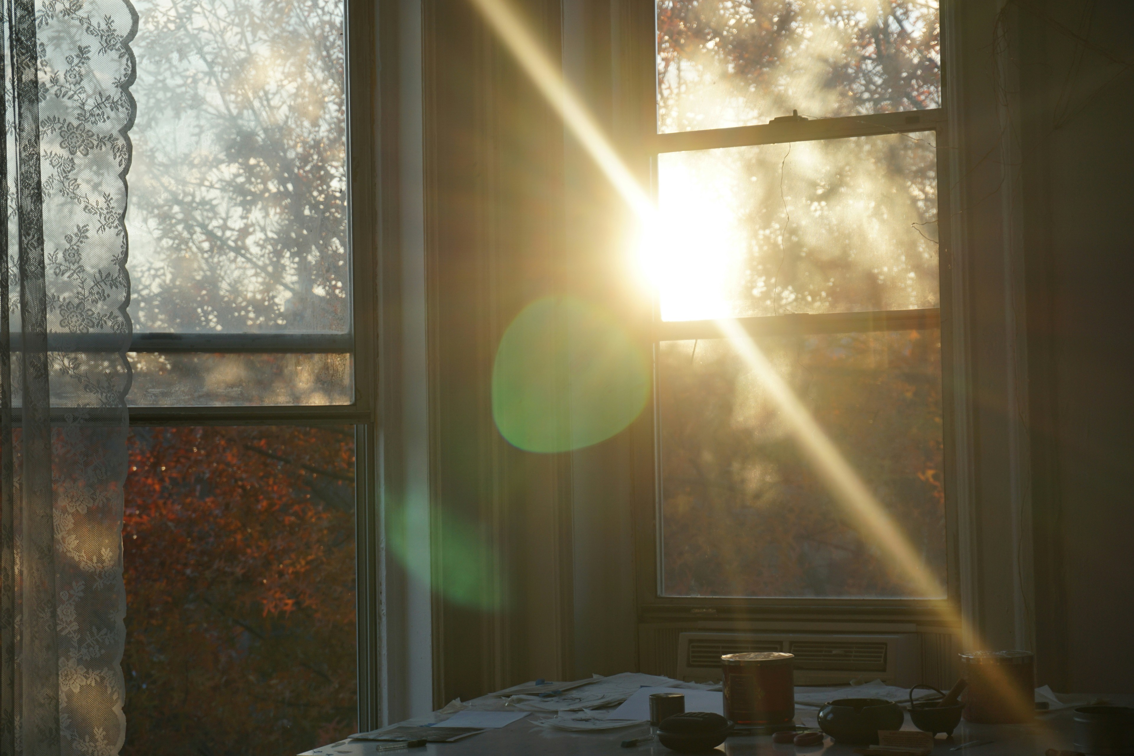 Sun streaming through a NYC bay window into a softly lit apartment with tea on the table